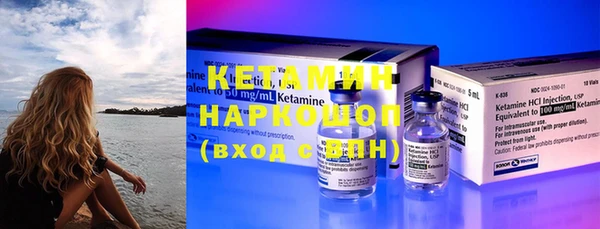 индика Костерёво