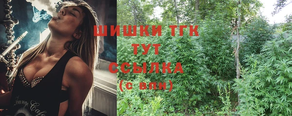 индика Костерёво