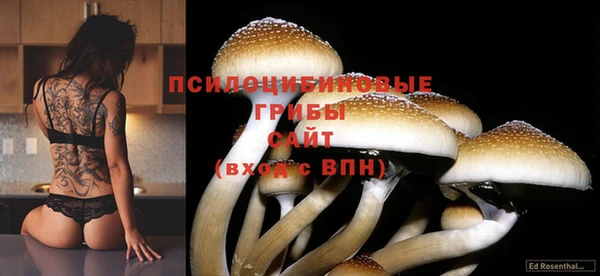индика Костерёво