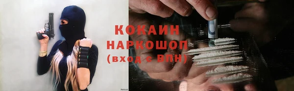 индика Костерёво