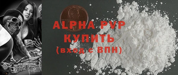 индика Костерёво