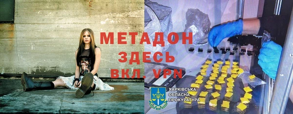 индика Костерёво