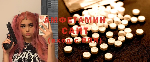 индика Костерёво