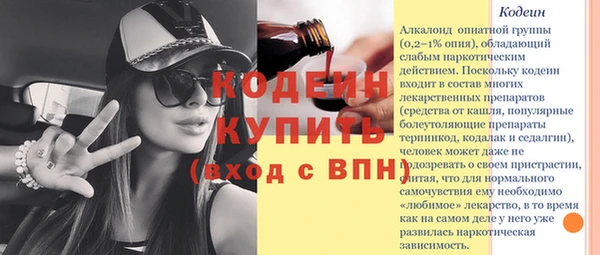 индика Костерёво