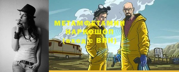 индика Костерёво