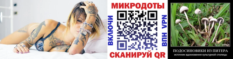 Псилоцибиновые грибы ЛСД  Купить где  Харабали 